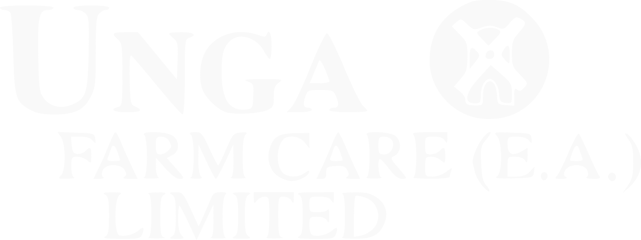 Unga